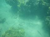 Oahu 008